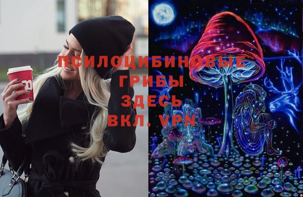 мдпв Абдулино