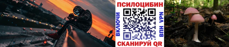 Галлюциногенные грибы мицелий  Астрахань 