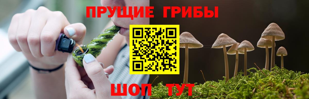 Псилоцибиновые грибы прущие грибы  Вход с VPN  Галлюциногенные грибы Cubensis  Астрахань 